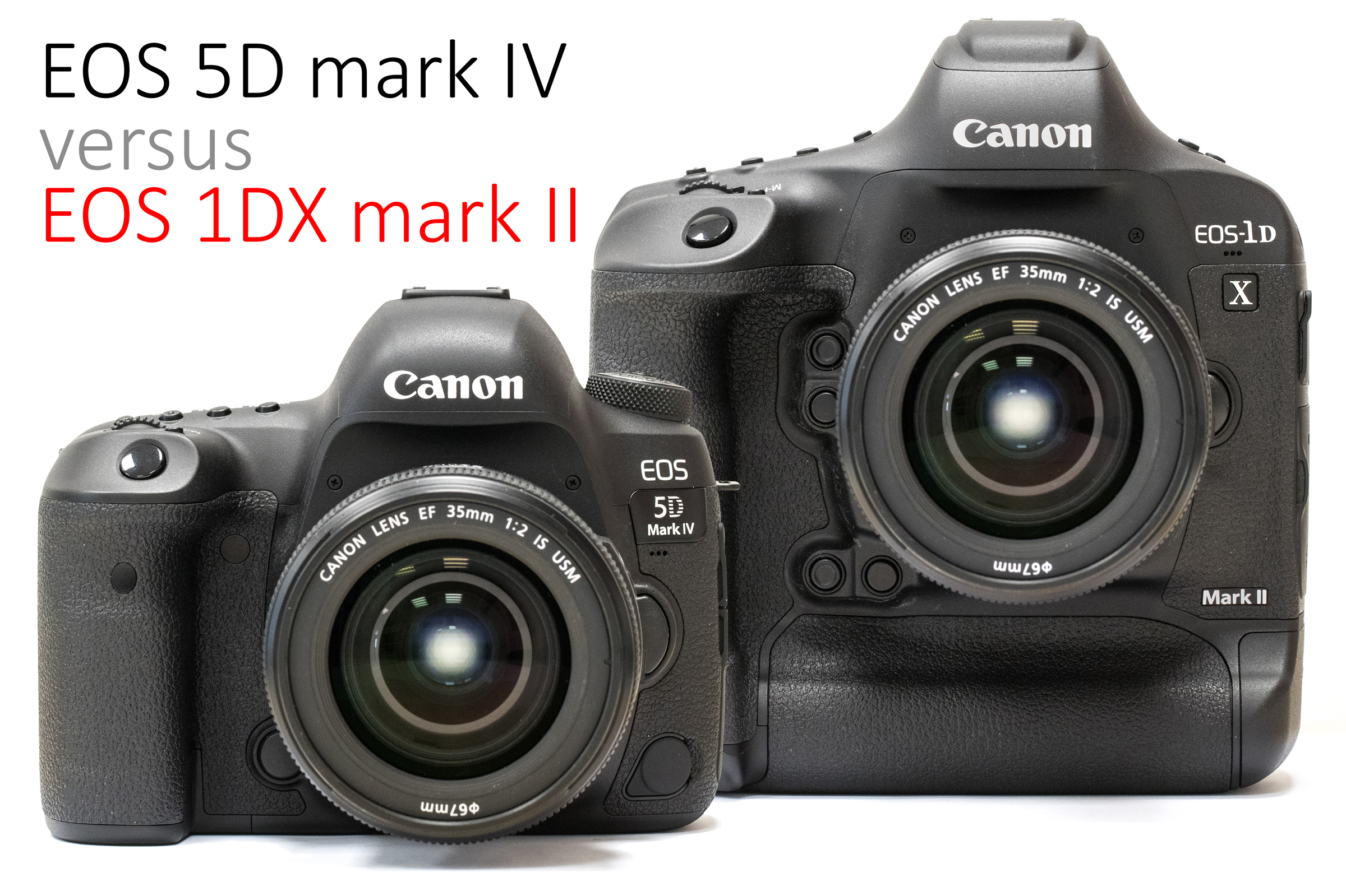 EOS 5D mark IV vs. EOS 1DX mark II