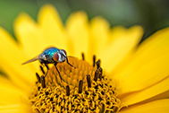 IMG_0798-189px