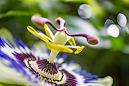 IMG_0838-189px