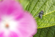 IMG_0851-189px