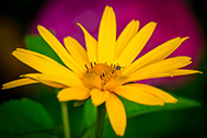 IMG_0880-189px