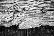 IMG_1050-189px