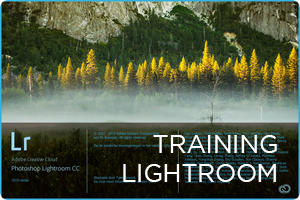 00_training-lr.png