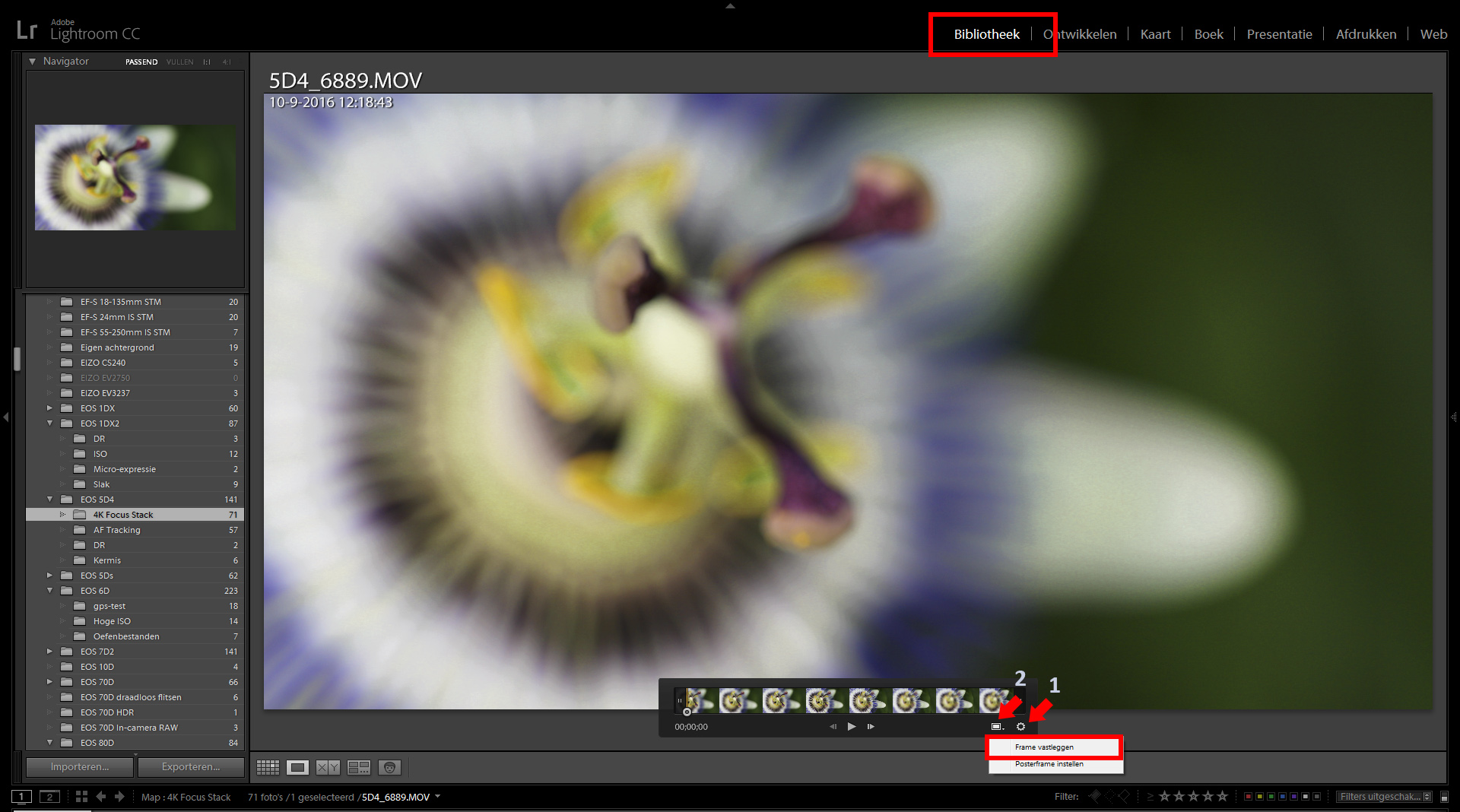 lr-frame-capture