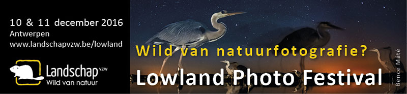 Lowland Photo Festival 2016_banner