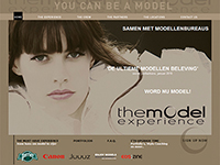 The Model Experience The Model Experience