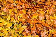 04_5D4_9747-189px