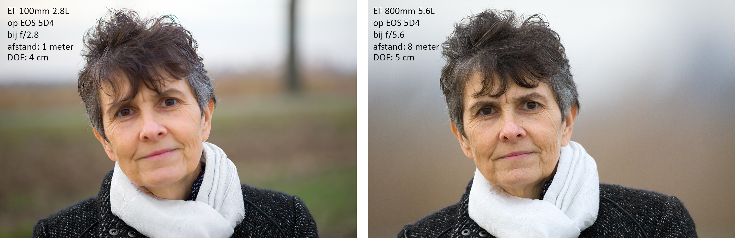 Portret