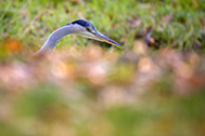 5D4_9976-189px