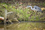 5D4_0020-189px