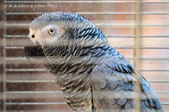 01_IMG_2840-189px