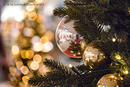 02_IMG_2849-189px