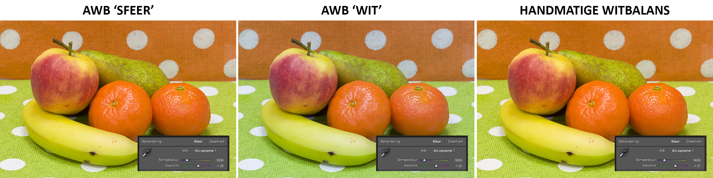 witbalansen-kleuronderwerp-TL