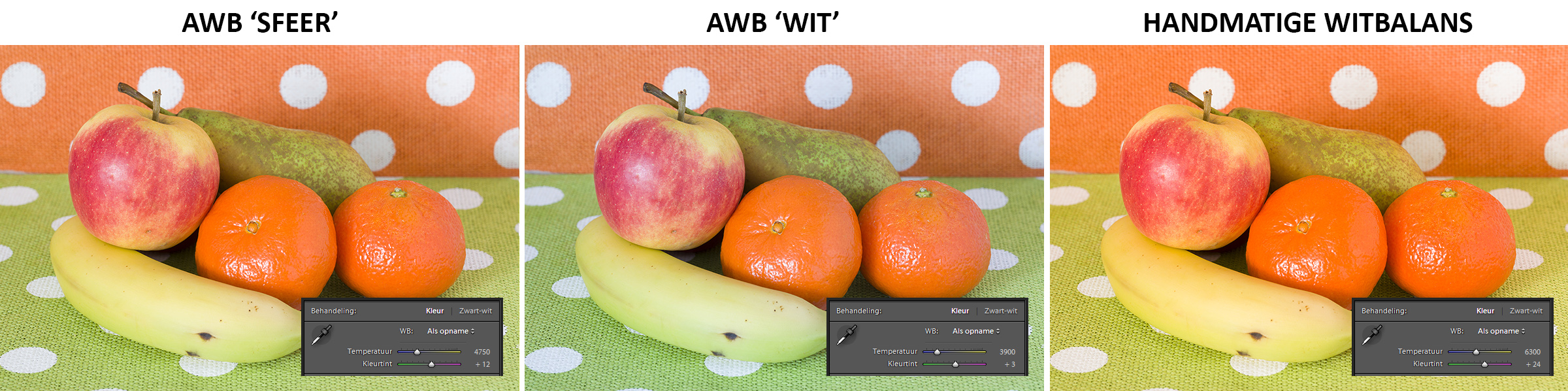 witbalansen-kleuronderwerp-schaduw