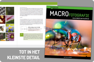 00_hb-macrofotografie.png