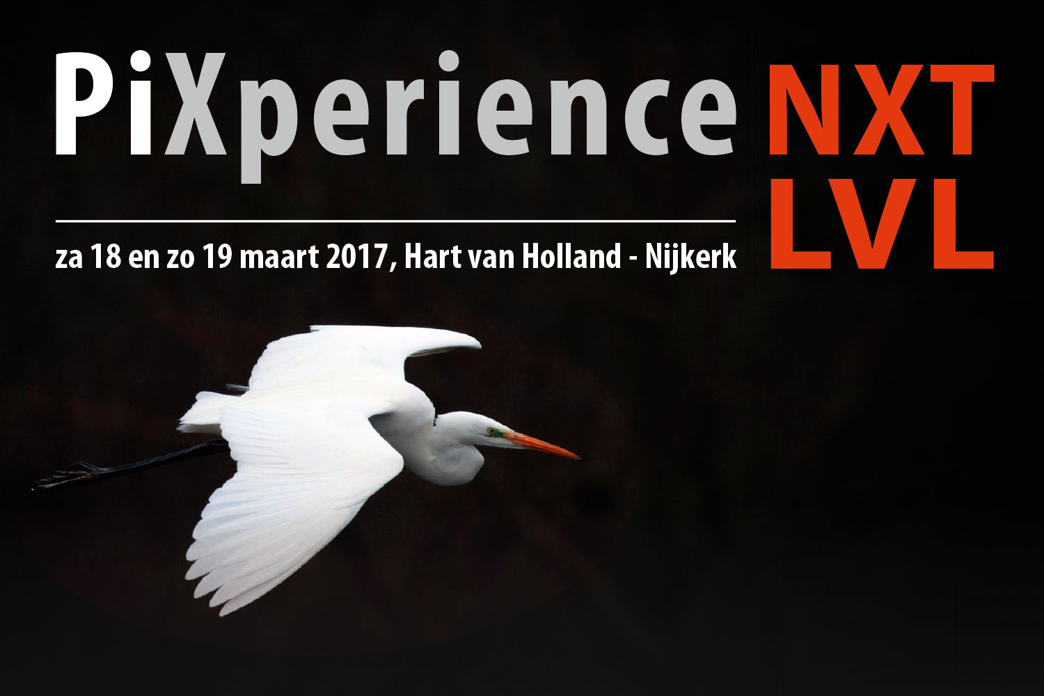 NXT_LVL_PiXperience-2017