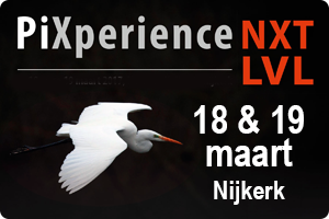 00_NXT_LVL_PiXperience-2017.png
