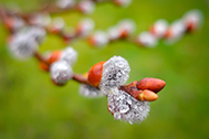 01_IMG_0012-189px
