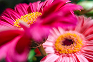 03_IMG_0060-189px