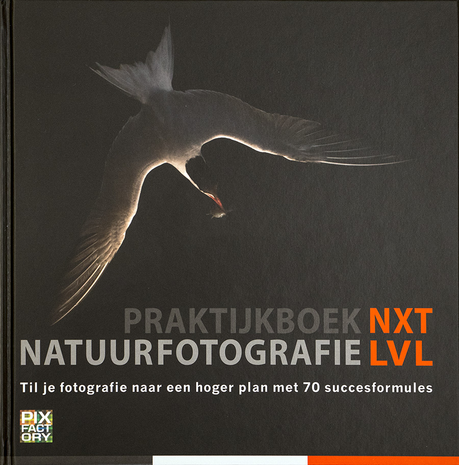 PB NF NXT LVL-klein