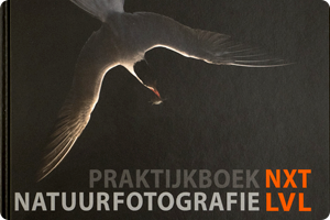 00_PB NF NXT LVL.png