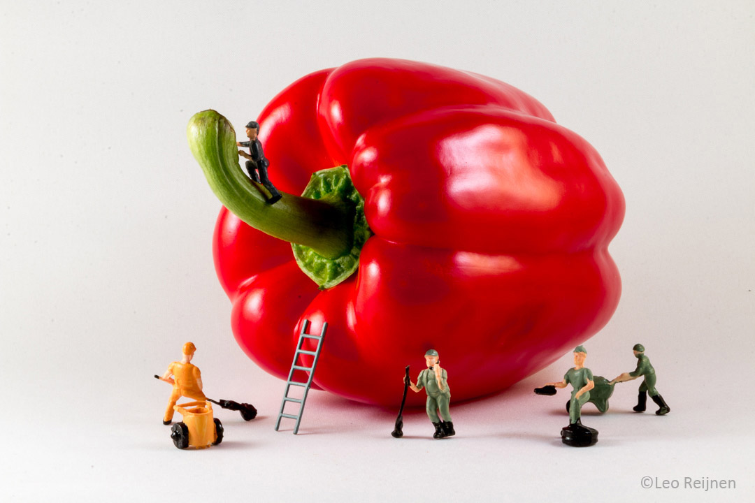 leo-reijnen-paprika