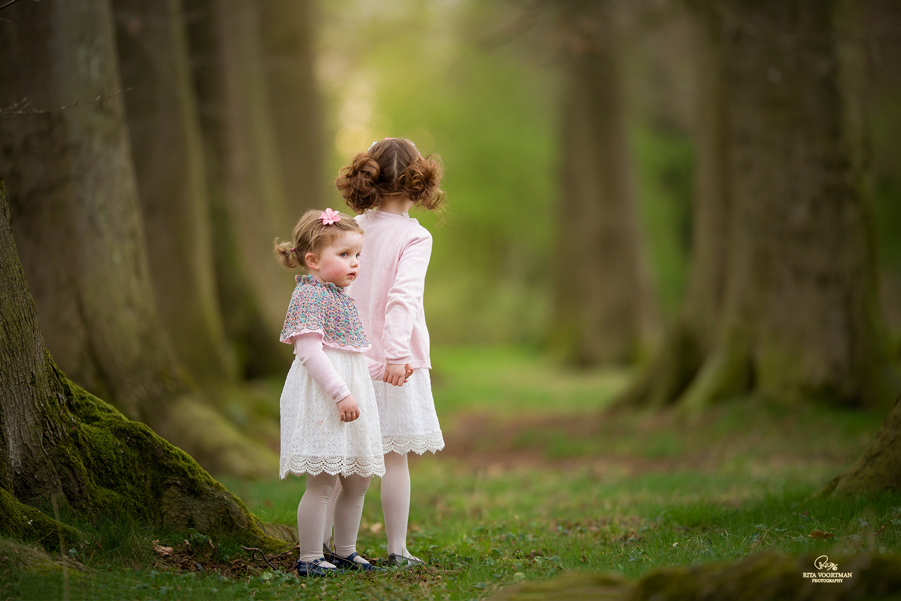 06 walk-in-the-forest-by-ritavoortmanphotography