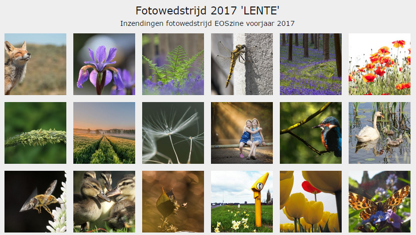 fotowedstrijd-lente-reminder
