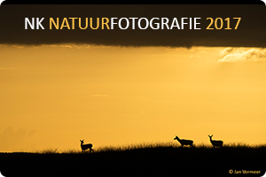 00_NK-natuurfotografie.nl.png