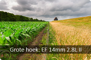 00-14mm-28-ii.png
