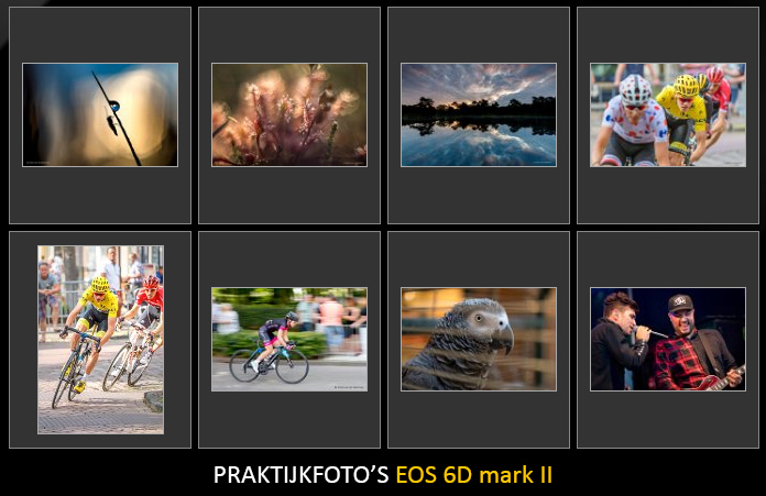 praktijkfoto's