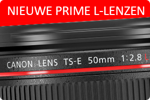 00_prime-tse.png