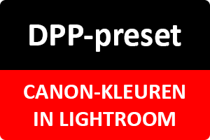 00_dpp-preset.png