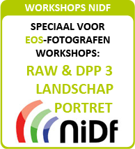 Speciale EOS-workshops van het NIDF!