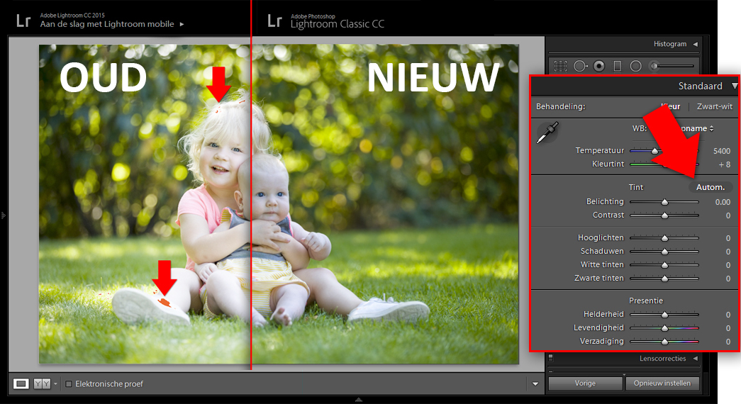 visual-lr-auto
