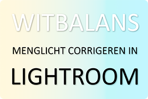 00_visual-menglicht.png