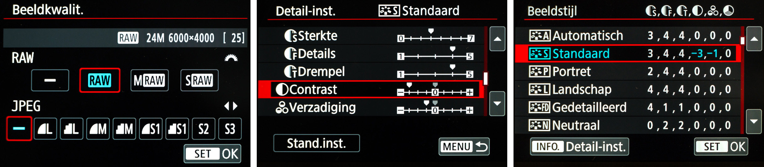 RAW-beeldstijl