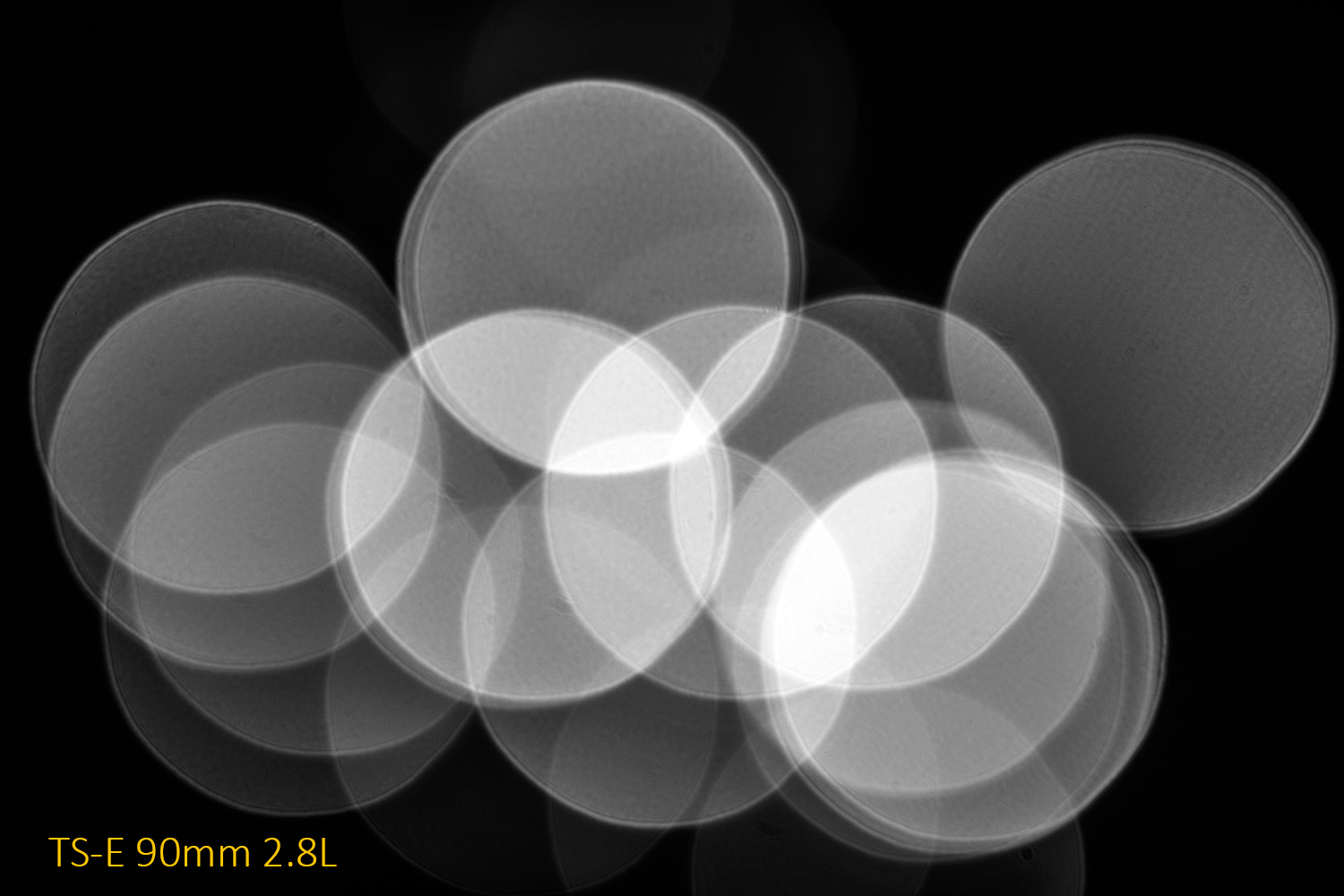 5D4_4954