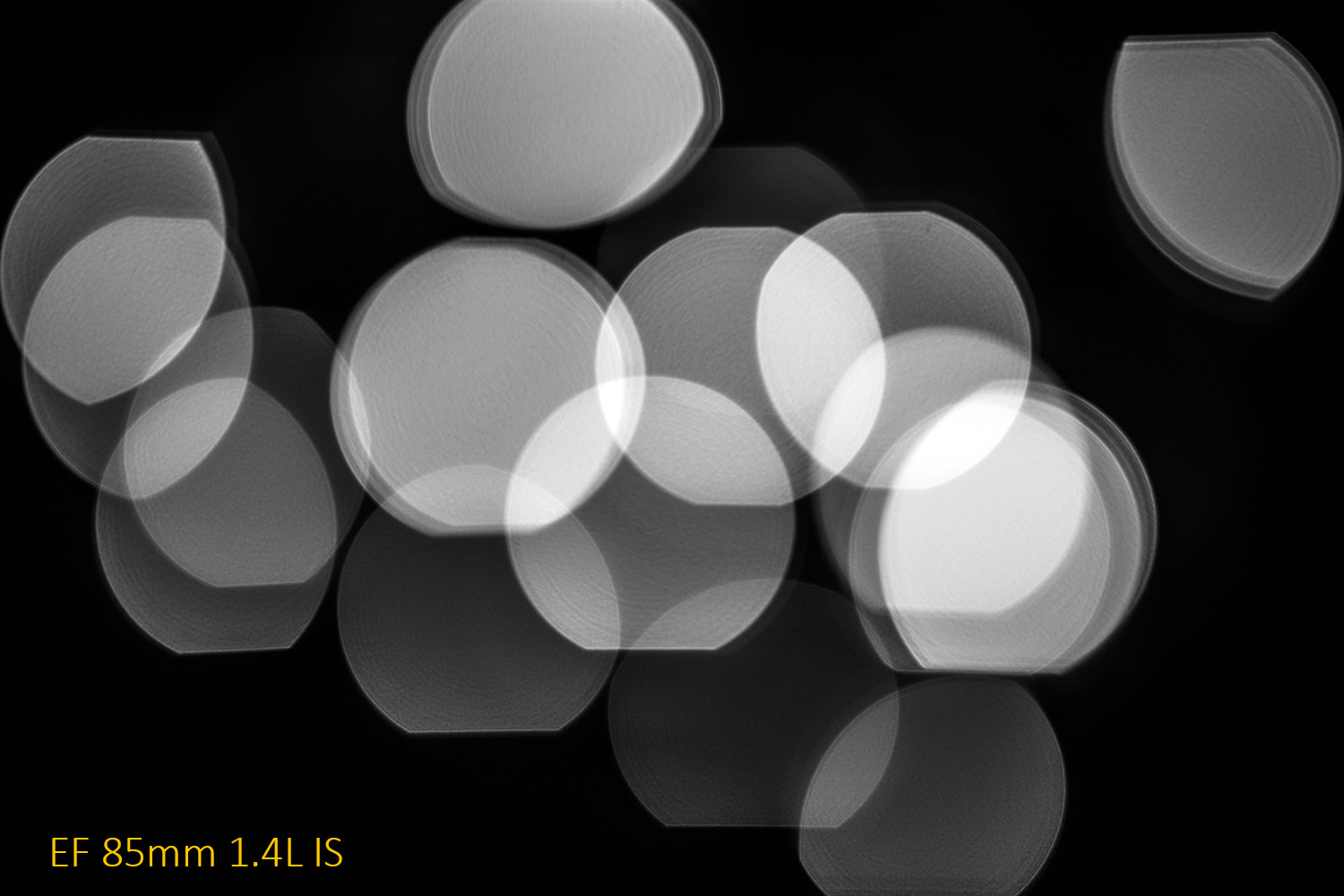 5D4_4960
