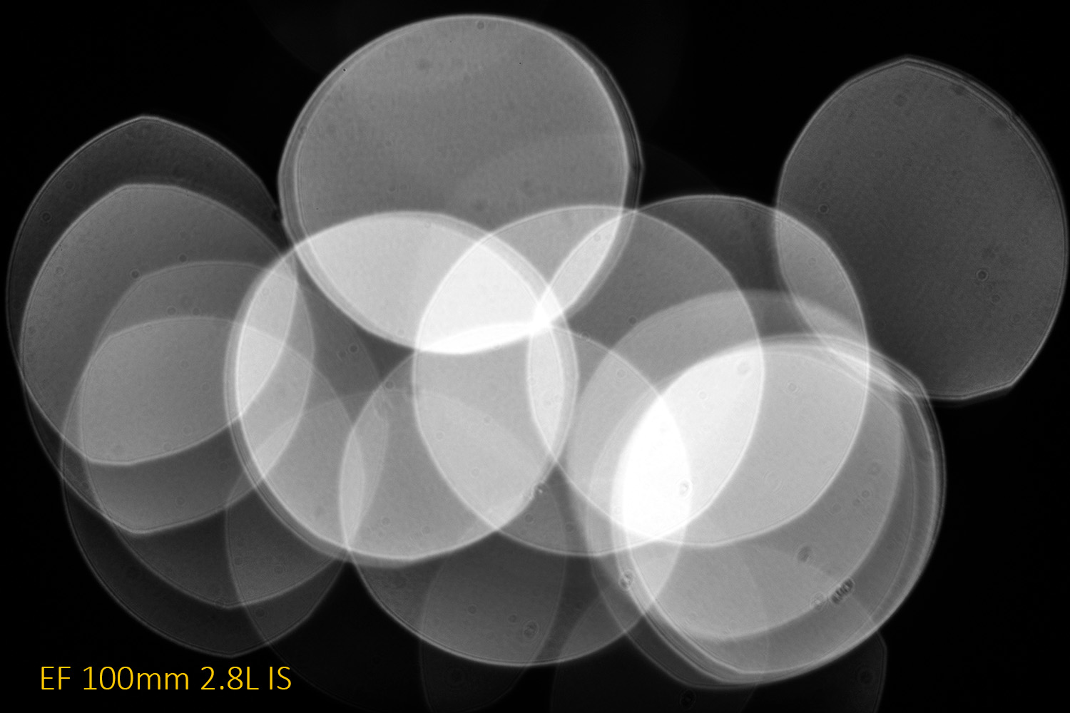 5D4_4958