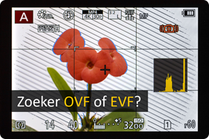 00_EVF-OVF.png