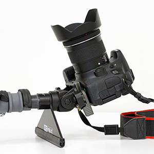 5D4_6514-klein