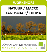 Workshops 2011 bij Johan van de Watering