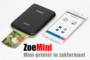 00_Zoemini-print.png