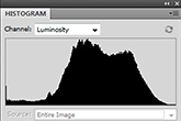 histogram (2) 165px.jpg