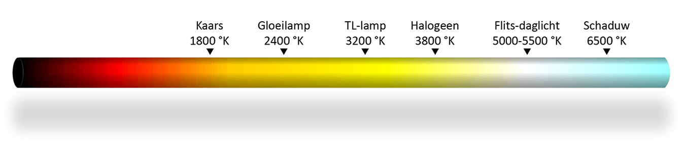 lepel Cerebrum Vrijwel 02 Witbalans