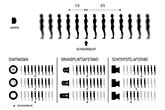 scherptediepte_00-165px.jpg