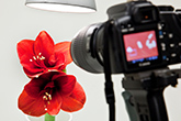 liveview_01-165px.jpg