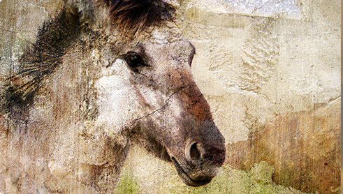 carrousel_MK-02.png