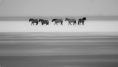 carrousel_MK-04.png